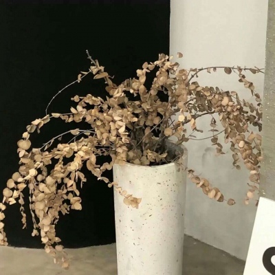 黟县福瑞交流群